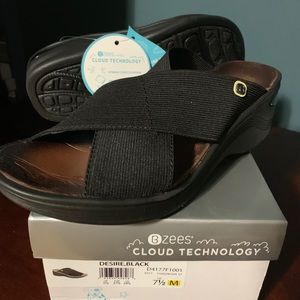 Bzees cloud technology